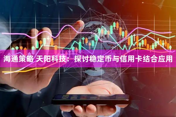 海通策略 天阳科技：探讨稳定币与信用卡结合应用