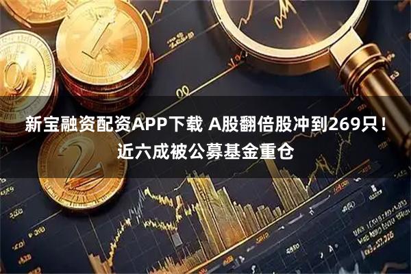 新宝融资配资APP下载 A股翻倍股冲到269只！近六成被公募基金重仓