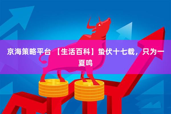 京海策略平台 【生活百科】蛰伏十七载，只为一夏鸣